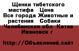 Щенки тибетского мастифа › Цена ­ 80 - Все города Животные и растения » Собаки   . Челябинская обл.,Катав-Ивановск г.